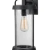 Craw 1-Light Lantern Home