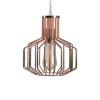 Home 1-Light Swag Pendant