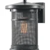 Carlson 1-Light LRG Wall Lantern Home