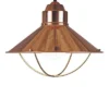 1-Light Dowd Pendant Home